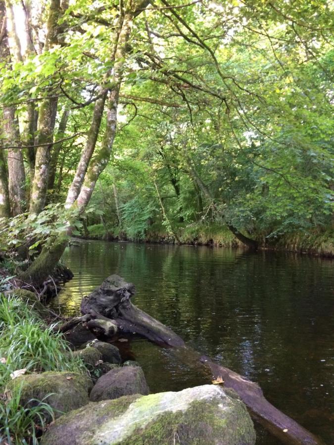 Riverside Apartment Betws-y-Coed Luaran gambar