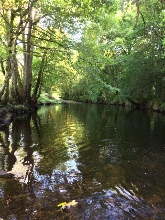 Riverside Apartment Betws-y-Coed Luaran gambar